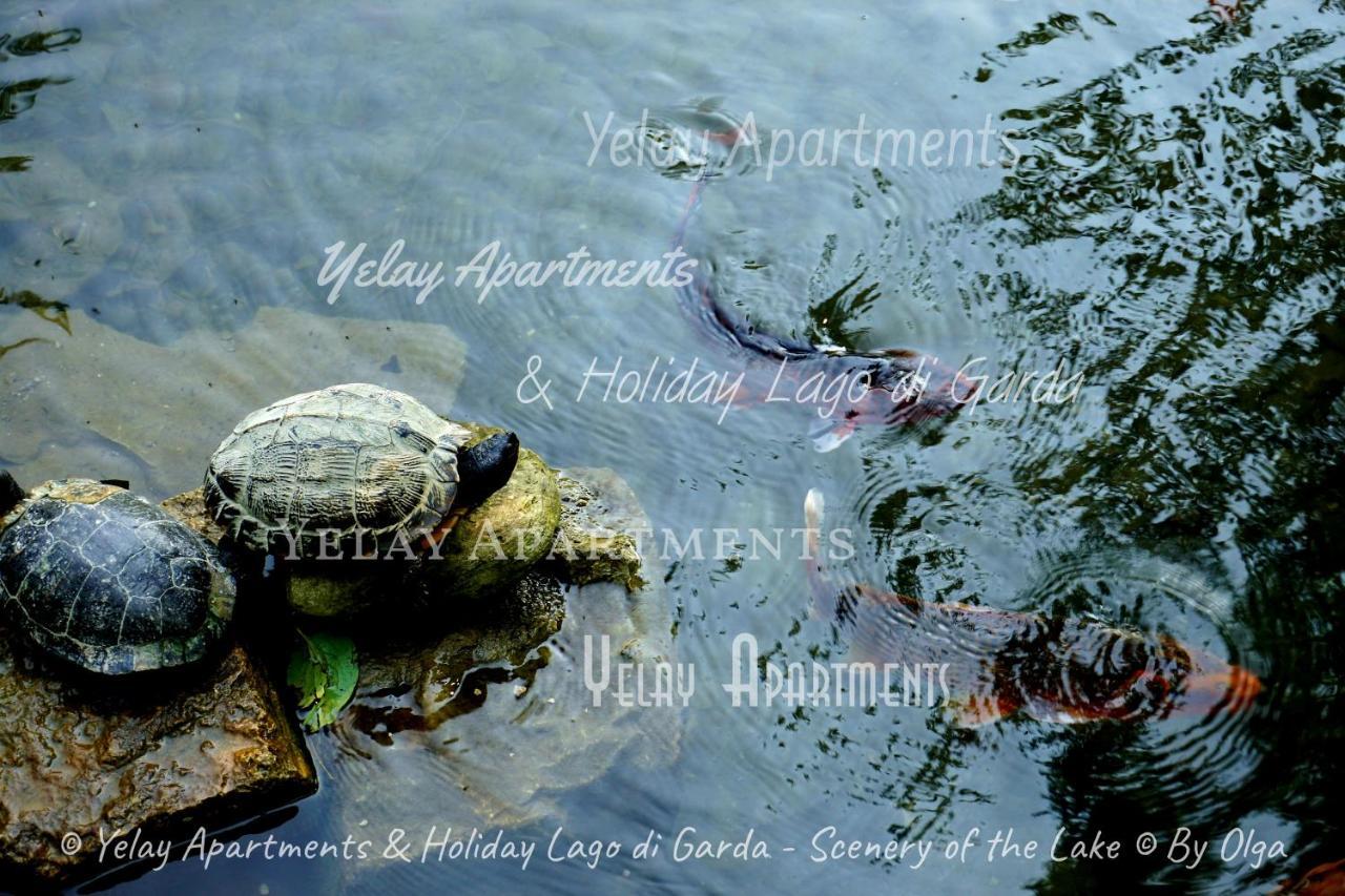 Yelay Apartments&Holiday Lago di Garda Raffa Bagian luar foto