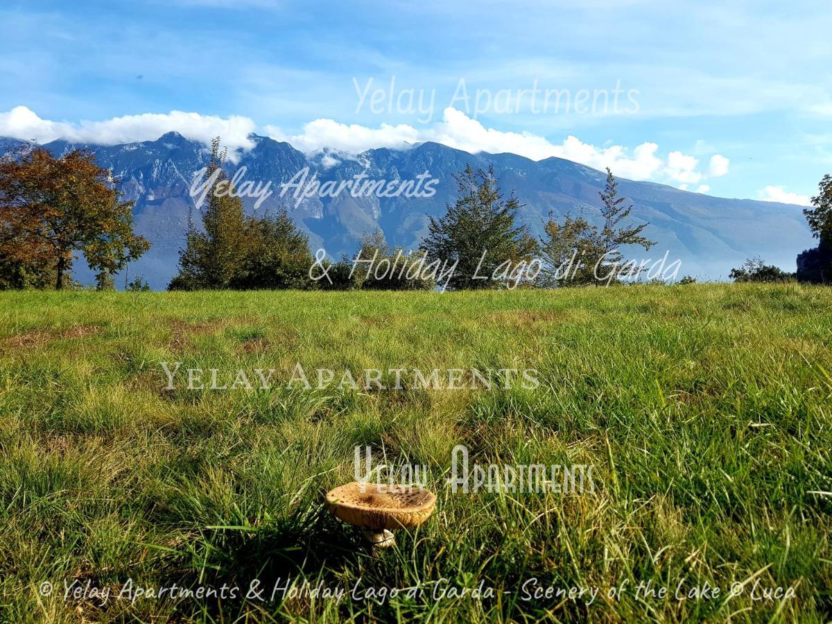 Yelay Apartments&Holiday Lago di Garda Raffa Bagian luar foto